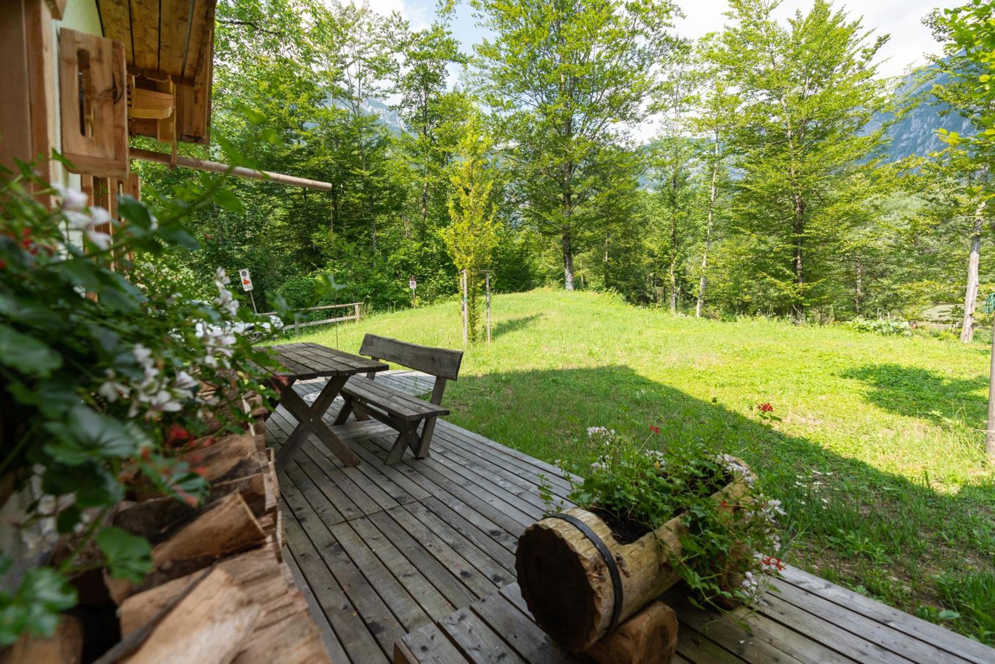 Alpik Chalets - Bohinj Exterior photo