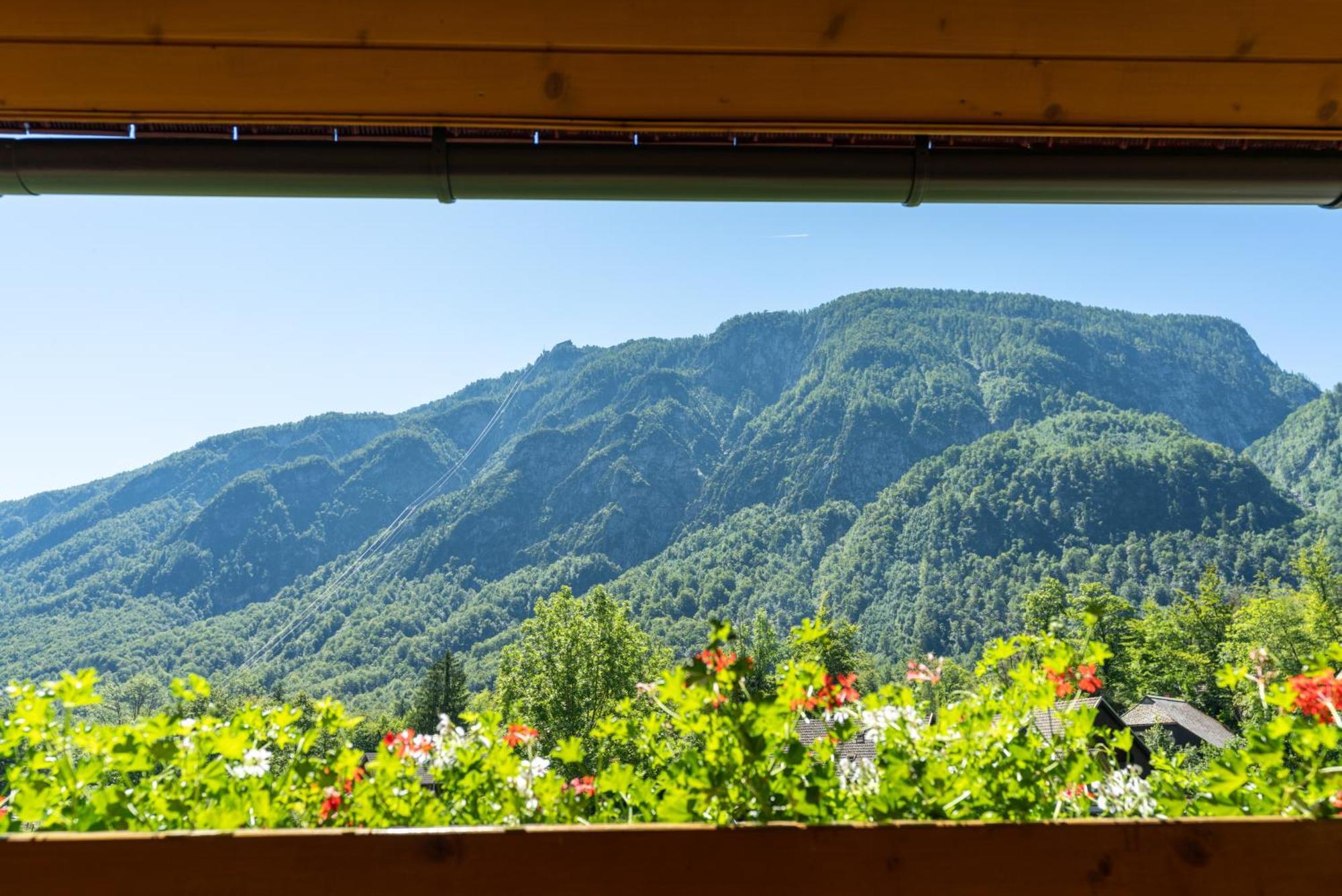 Alpik Chalets - Bohinj Room photo